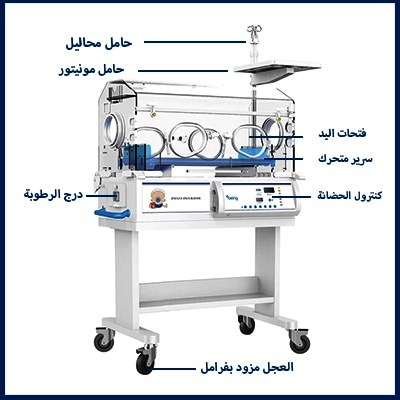 WhatsApp Image 2025-09-16 at 10.42.18 AM